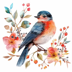 19 Birds Clipart, Floral Bird, Printable Watercolor Clipart, High Quality, Paper Craft, Junk Journals, Wall Art, Digital Download JPGs