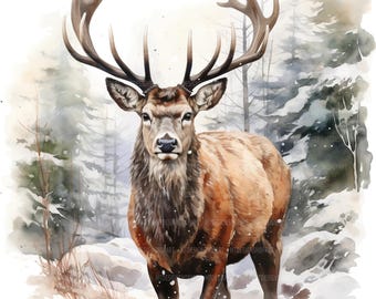 22 Clipart di cervi in inverno, cervi nella foresta, clipart di acquerelli stampabili, lavoretti di carta, diari spazzatura, JPG di alta qualità, download digitale