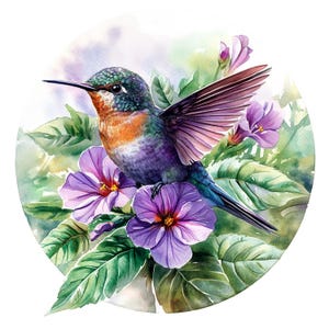 May include: A watercolor painting of a hummingbird with iridescent green, blue, and purple feathers hovering near purple flowers with green leaves. The background is a soft watercolor wash of blue and green.