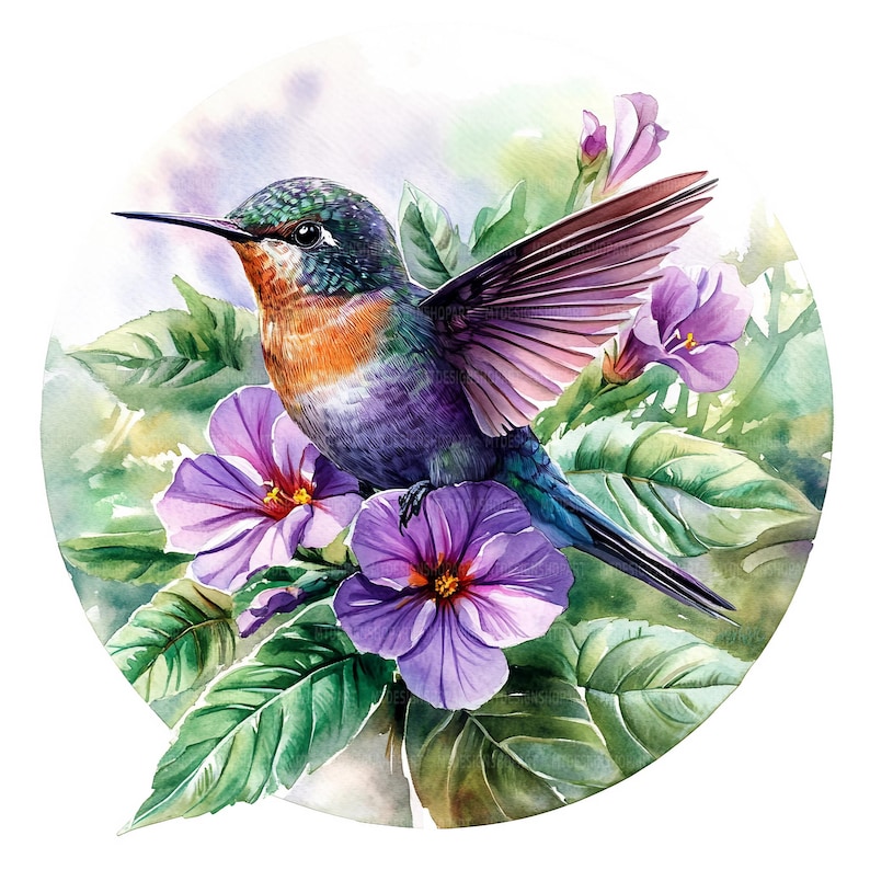 May include: A watercolor painting of a hummingbird with iridescent green, blue, and purple feathers hovering near purple flowers with green leaves. The background is a soft watercolor wash of blue and green.
