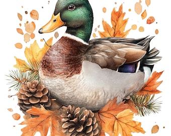 19 wilde eend clipart, wilde eend clipart, afdrukbare aquarel clipart, Paper Craft, ongewenste tijdschriften, hoge kwaliteit jpg's, digitale download