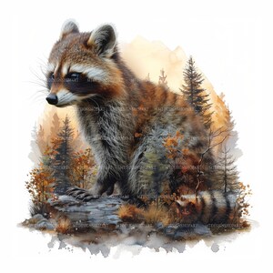 Op de afbeelding: Een wasbeer staat op een rots met een aquarel achtergrond van bomen en bladeren. De wasbeer kijkt naar links in de afbeelding. De wasbeer is bruin en grijs met een zwart masker rond zijn ogen.