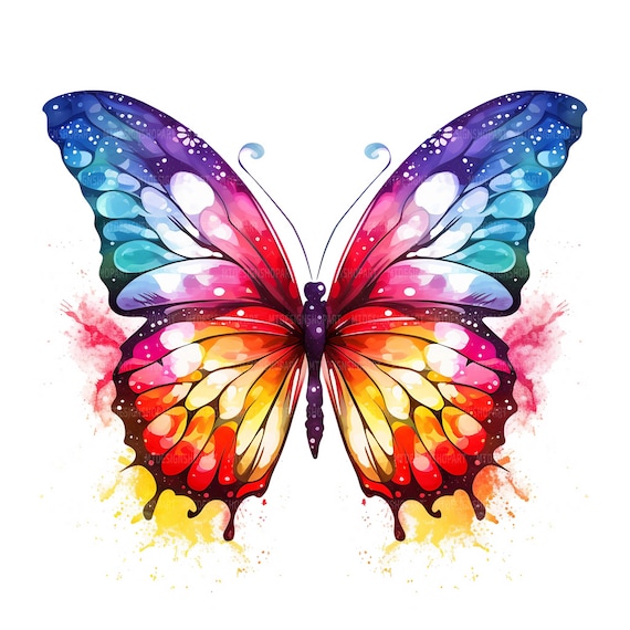 Cadre Papillon à Colorier – 30x30 Cm – Motif Pré-imprimé – Pour Peinture Acrylique, Aquarelle, Feutres – Loisir Créatif Peinture Sur Coton Apprêté