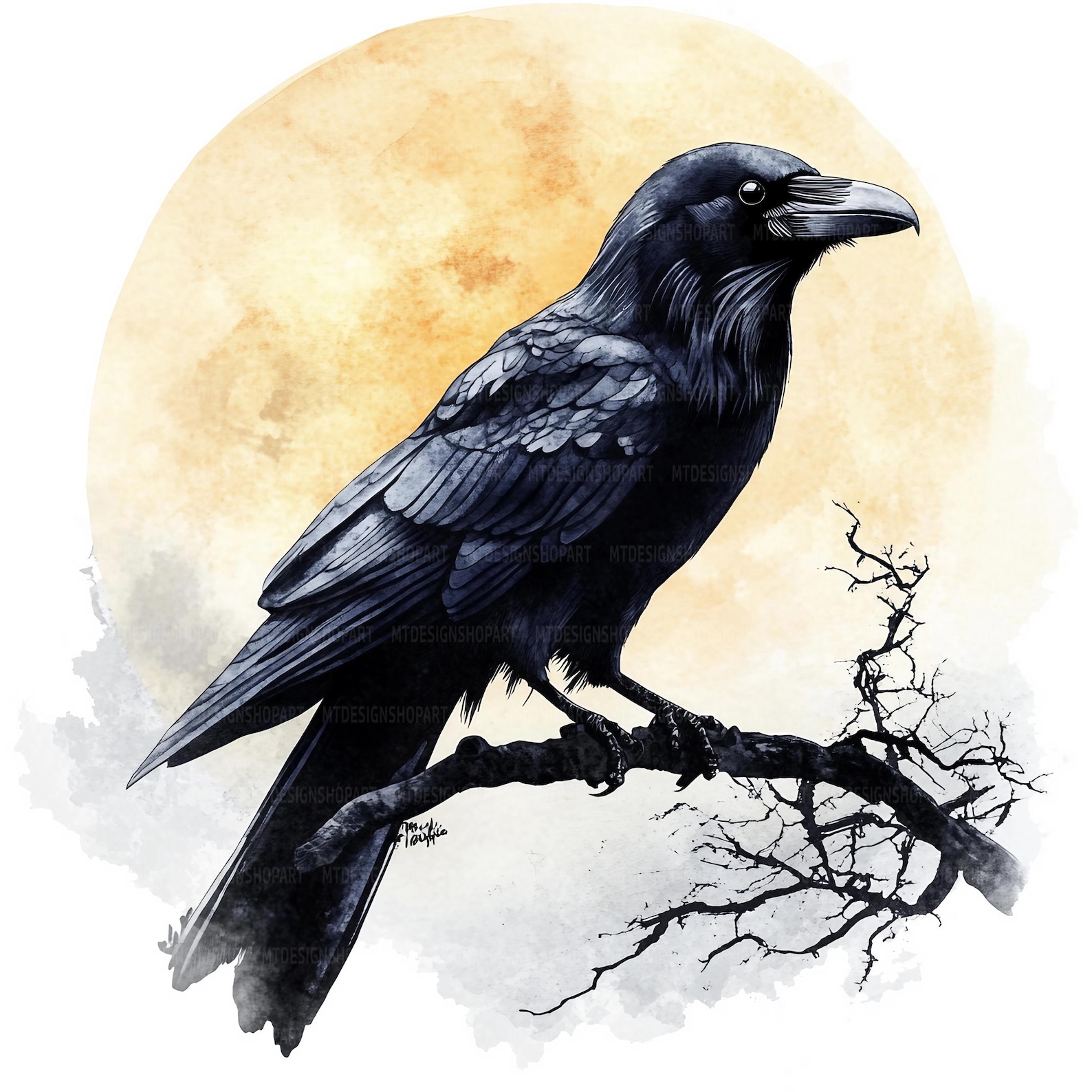 13 Raven on Tree Branch Clipart, Crow Clipart, Printable Watercolor ...
