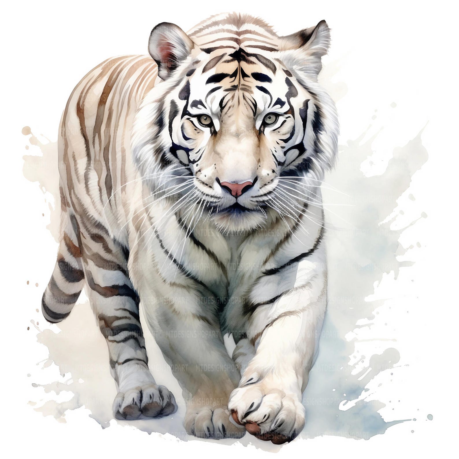 14 White Tiger Clipart, Tiger Clip Art, Printable Watercolor Clipart