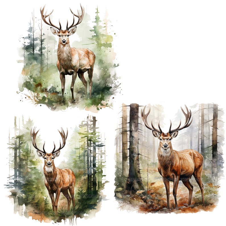 20 Deer in Forest Clipart, Red Deer Clipart, Printable Watercolor