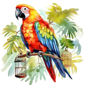 26 papegaaien clipart, kleurrijke papegaai clipart, afdrukbare aquarel clipart, Paper Craft, ongewenste tijdschriften, hoge kwaliteit jpg's, digitale download