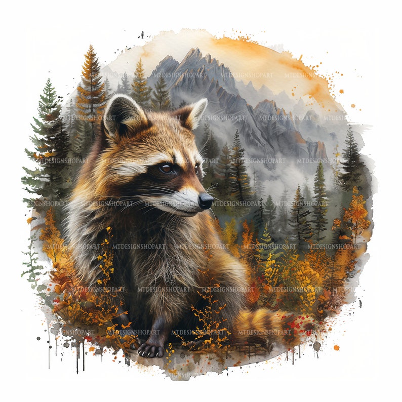 Op de afbeelding: Een aquarel schilderij van een wasbeer die in een bos zit met bergen op de achtergrond. De wasbeer is bruin en grijs met een zwart masker rond zijn ogen. Het bos is groen en bruin met gele en rode bladeren aan de bomen. De bergen zijn grijs en wit met een lichtblauwe lucht erboven.