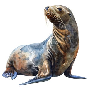 19 Leões-marinhos Clipart, Leão-marinho, Clipart de aquarela para impressão, Artesanato em papel, Diários de lixo, JPGs de alta qualidade, Download digital