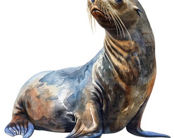 19 Sea Lions Clipart, Sea Lion, Printable Watercolor Clipart, Paper Craft, Junk Journals, High Quality JPGs, Digital Download