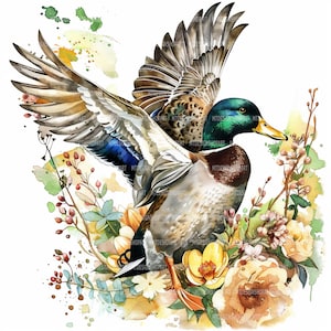 15 Mallard Duck and Flowers Clipart, Mallard Duck Print, Printable Watercolor clipart, High Quality JPG, Digital, Paper craft, junk journals