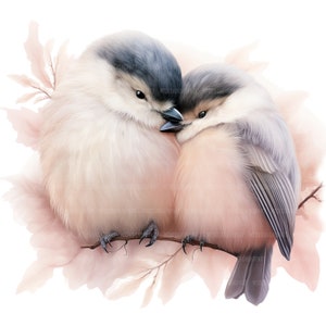 May include: Two small, fluffy birds with gray and white feathers are nestled together on a branch. The birds are facing each other, with their heads touching. The background is a soft, watercolor-like wash of pink and white.
