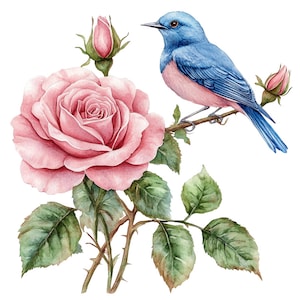 16 imágenes prediseñadas de pájaros azules con flores, pájaros y rosas, imágenes prediseñadas de acuarela imprimibles, manualidades de papel, diarios basura, archivos JPG de alta calidad, descarga digital
