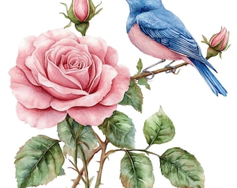 May include: A watercolor painting of a pink rose with green leaves and a blue bird perched on a branch. The bird has a pink breast and blue wings.