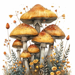14 Pilz Clipart, druckbare Aquarell Clipart, hochwertige JPGs, digitaler Download, hohe Auflösung, Papiermodelle