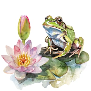 21 clipart de sapo verde, clipart de nenúfares, clipart de aquarela para impressão, artesanato de papel, clipart de lagoa, JPGs de alta qualidade, download digital