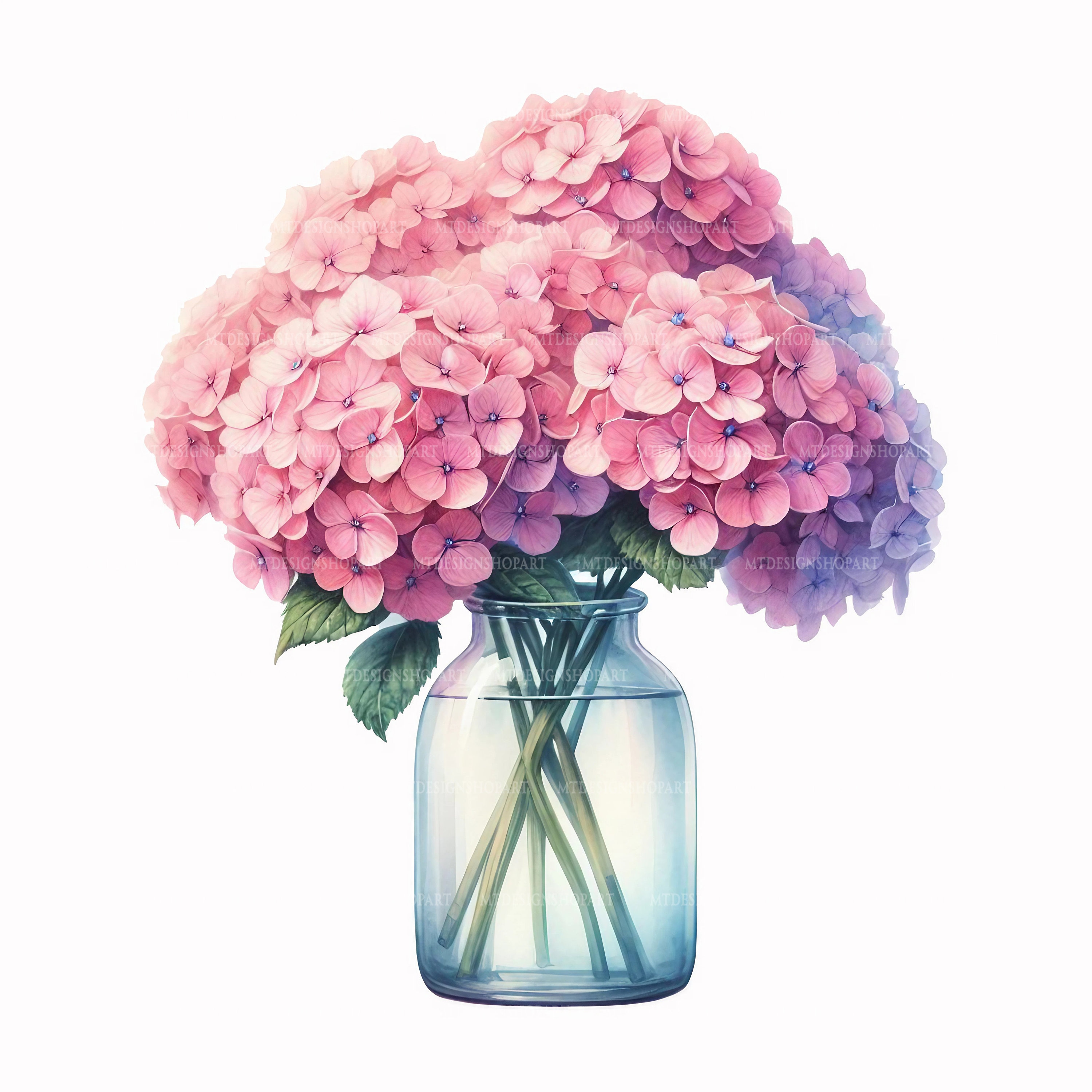 15 Hydrangea Flowers in Vase Clipart, Blue Purple Pink Hortensia ...