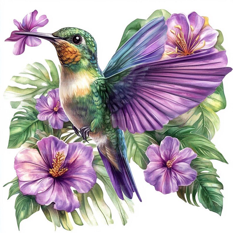 May include: A watercolor painting of a hummingbird with iridescent purple wings, perched on a branch of tropical flowers. The flowers are purple and pink with green leaves.