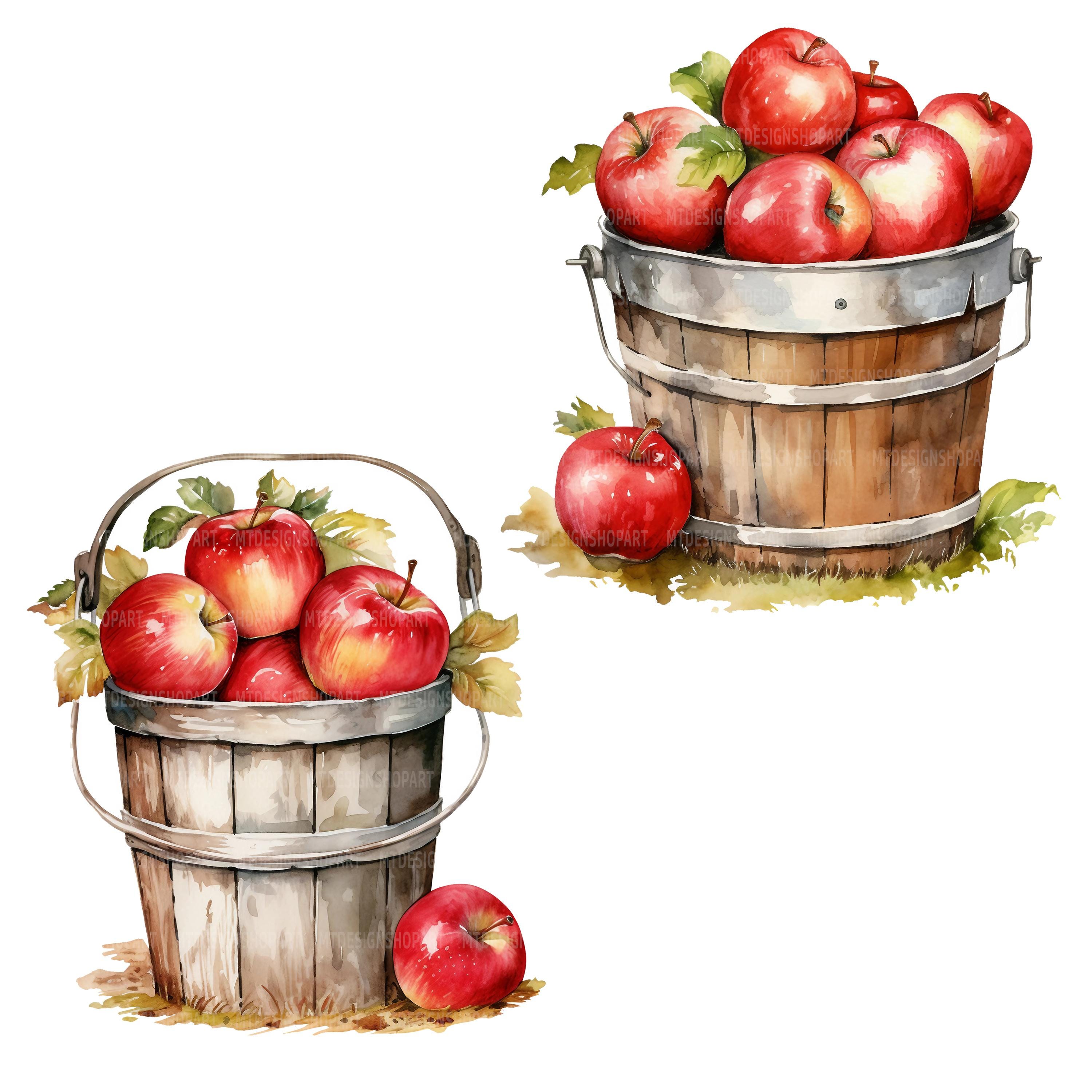 20 Apple Basket Clipart, Apple Buckets Clipart, Printable Watercolor ...