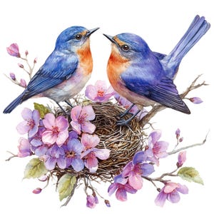 19 Spring Birds Clipart, Bird Nest Clipart, Floral Bird, Printable Watercolor Clipart, Paper Craft, JPGs de alta qualidade, Download digital