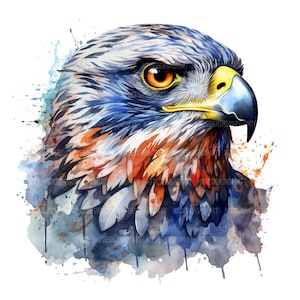 Puede incluir: Pintura a la acuarela de la cabeza de un halcón, con plumas detalladas en tonos azules, naranjas y grises. El halcón tiene un pico amarillo e intensos ojos anaranjados. Los efectos de salpicaduras en azul y naranja se suman al estilo artístico. La obra está sobre un fondo blanco.