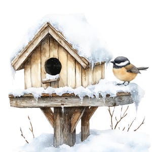 16 cliparts nichoir, nichoir clipart, clipart aquarelle imprimable, créations en papier, journaux indésirables, fichiers JPG de haute qualité, téléchargement numérique
