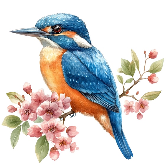 カワセミのクリップアート19点、水彩画の鳥のクリップアート、印刷可能