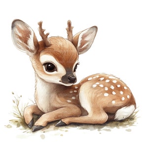 16 Clipart petit cerf Bambi, Bambi Clipart, clipart aquarelle imprimable, créations en papier, journaux indésirables, JPG de haute qualité, téléchargement numérique