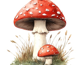 19 Roter Pilz Clipart, Pilz Clipart, druckbare Aquarell Clipart, Papierwesen, Junk Journals, hochwertige JPGs, digitaler Download