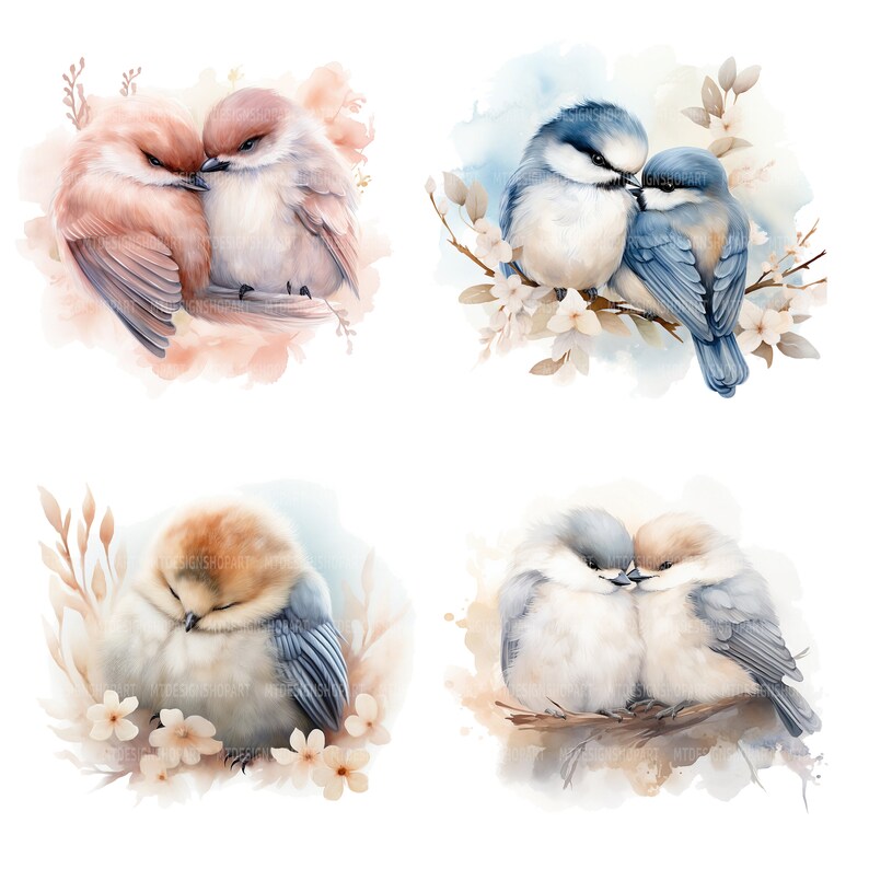May include: Four watercolor paintings of birds in various poses. The birds are all depicted in a romantic style, with soft colors and delicate details. The paintings are perfect for adding a touch of nature to any home.