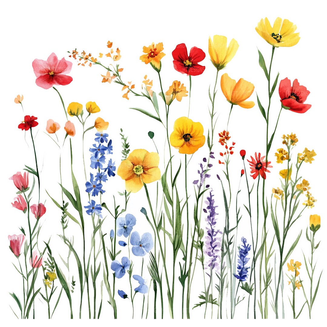 Wildflowers Shower Gel main image 1