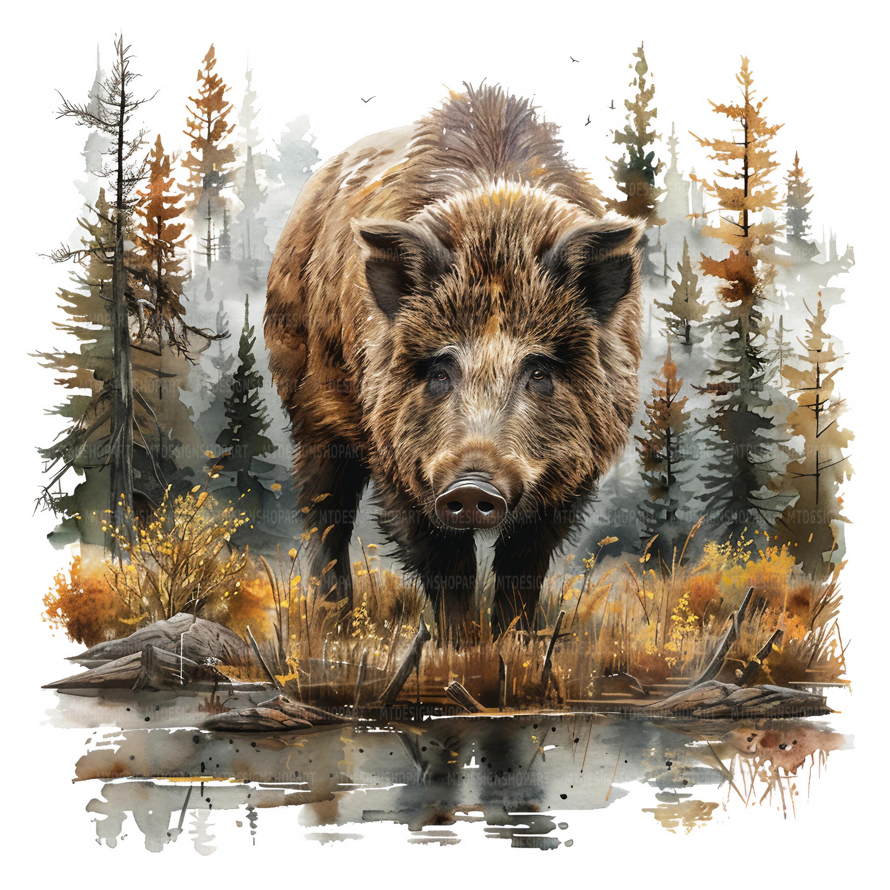 16 Wild boar in Forest Clipart, Wild boar Clipart, Printable Watercolor Clipart, Paper Craft, High Quality JPGs, Digital Download