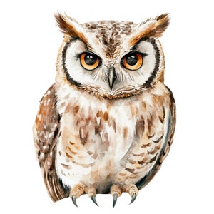 16 schattige uil clipart, hyperrealistische schattige uil, afdrukbare aquarel clipart, Paper Craft, ongewenste tijdschriften, hoge kwaliteit jpg's, digitale download