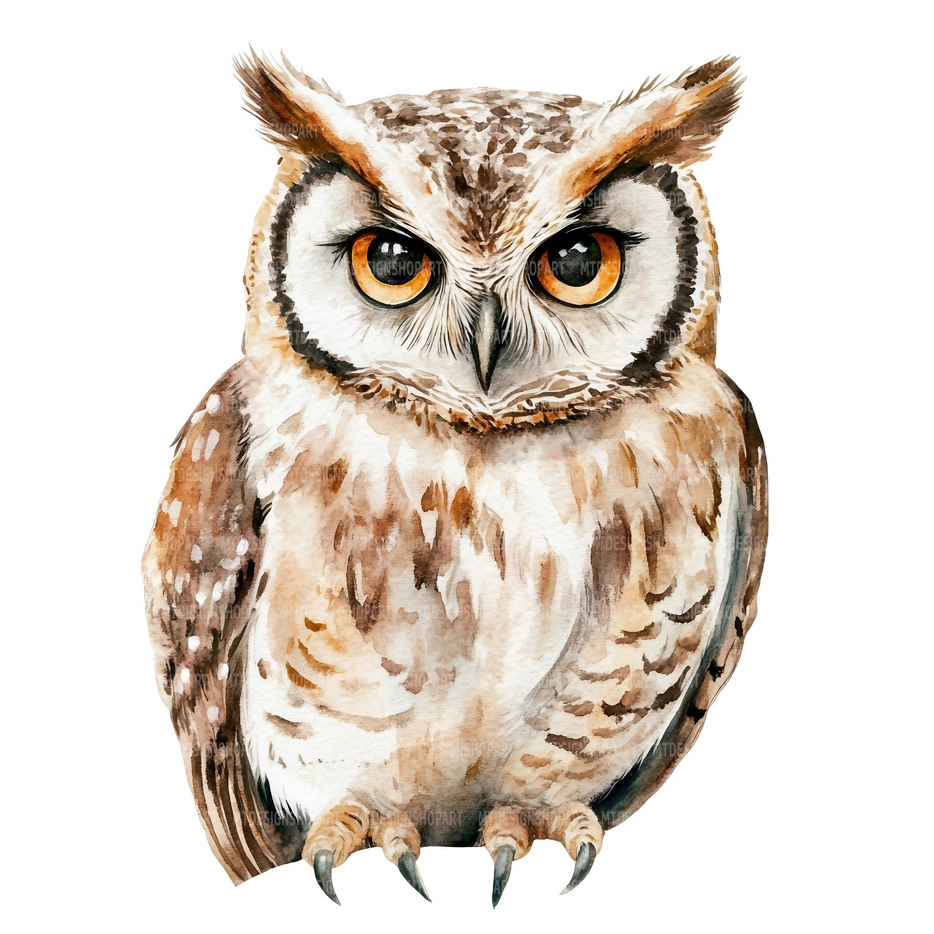 16 Cute Owl Clipart, Hyperrealistic Cute Owl, Printable Watercolor Clipart, Paper Craft, Junk Journa