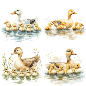 17 Clipart di mamma e anatroccolo, Clipart di anatre, Clipart di acquerelli stampabili, Lavoretti di carta, Diari di scarto, JPG di alta qualità, Download digitale immagine 8