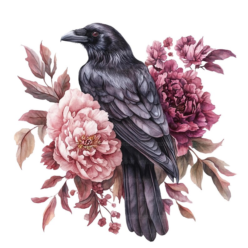 May include: A black raven perched on a bouquet of pink and burgundy peonies and foliage. The raven has a dark gray body and black eyes. The flowers are painted in a watercolor style.