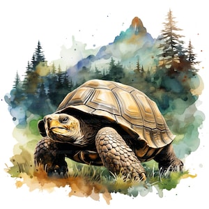 18 cliparts tortue, tortue clipart, clipart aquarelle imprimable, créations en papier, journaux indésirables, fichiers JPG de haute qualité, téléchargement numérique