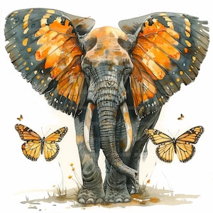 12 clipart de borboleta elefante, clipart de elefante, sublimação de borboleta, clipart aquarela imprimível, JPGs de alta qualidade, download digital
