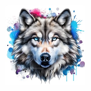 May include: A close-up of a wolf's face with blue eyes. The wolf is surrounded by blue, pink, and purple watercolor splatters.