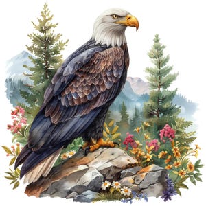 14 imágenes prediseñadas de águila calva, S1, imágenes prediseñadas de águila, imágenes prediseñadas de acuarela imprimibles, manualidades de papel, revistas basura, archivos JPG de alta calidad, descarga digital