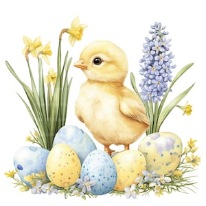19 Pâques poussin et oeufs Clipart, poussin de Pâques, clipart aquarelle imprimable, créations en papier, journaux indésirables, JPG de haute qualité, téléchargement numérique