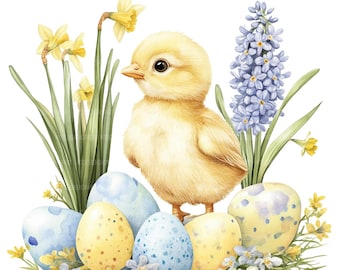 19 Pâques poussin et oeufs Clipart, poussin de Pâques, clipart aquarelle imprimable, créations en papier, journaux indésirables, JPG de haute qualité, téléchargement numérique