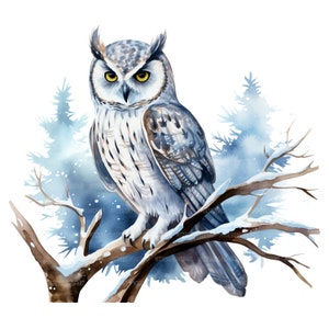 20 cliparts hibou hiver, hibou des neiges clipart, clipart aquarelle imprimable, créations en papier, journaux indésirables, fichiers JPG de haute qualité, téléchargement numérique