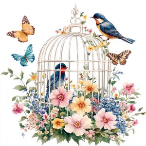 19 Clipart floral cage à oiseaux, fleurs sauvages, papillons, clipart aquarelle imprimable, créations en papier, fichiers JPG de haute qualité, téléchargement numérique