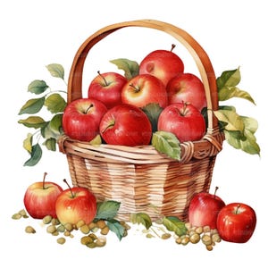 Op de afbeelding: Een mand van gevlochten wilgentenen die overloopt met rode appels, omringd door groene bladeren. De appels zijn in een cirkelvormige opstelling geplaatst, sommige vallen uit de mand.