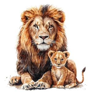 19 Clipart Lion and Cub, bébé lionceau, clipart aquarelle imprimable, créations en papier, journaux indésirables, fichiers JPG de haute qualité, téléchargement numérique