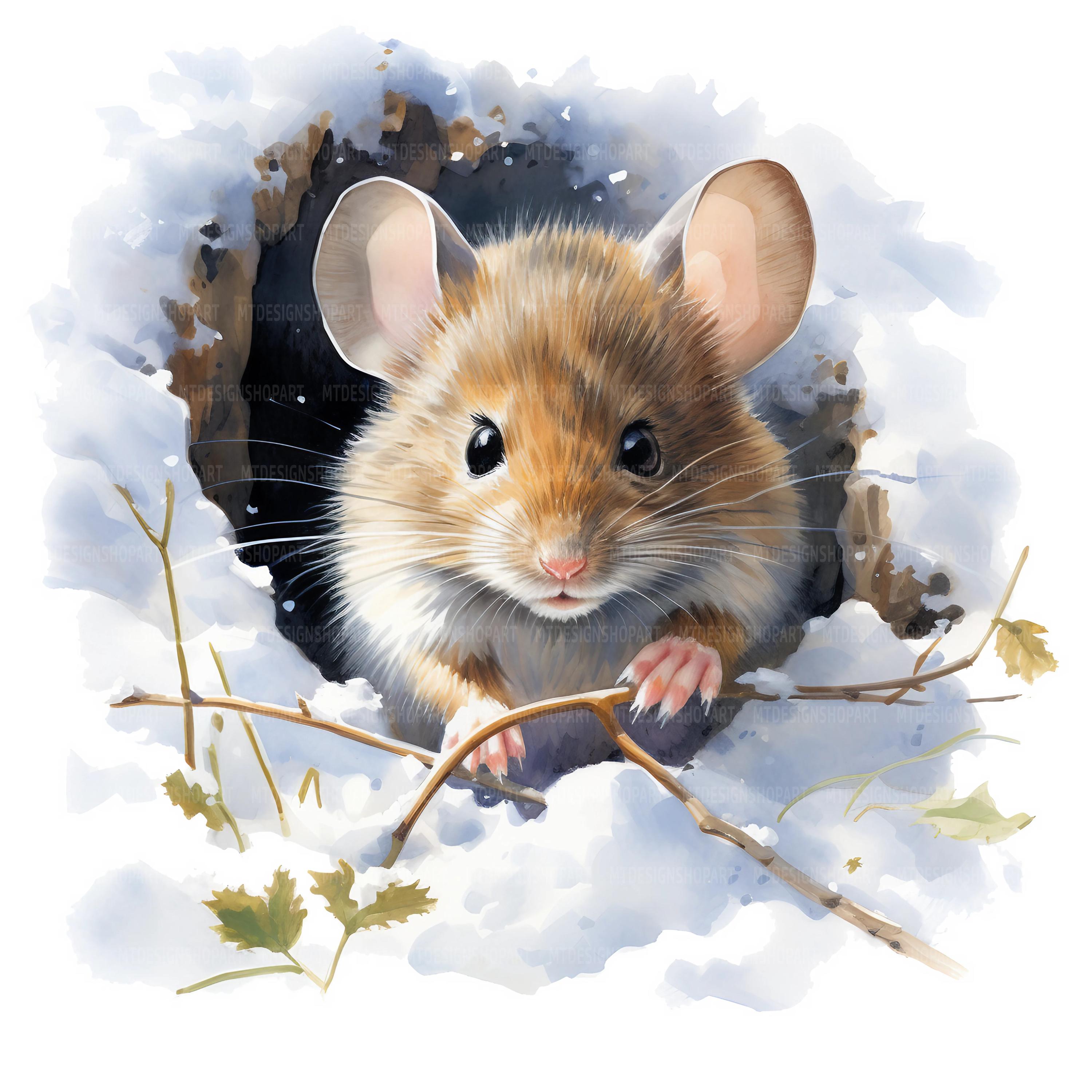 17 Mouse Hole Clipart, Sleeping Mouse, Printable Watercolor Clipart ...
