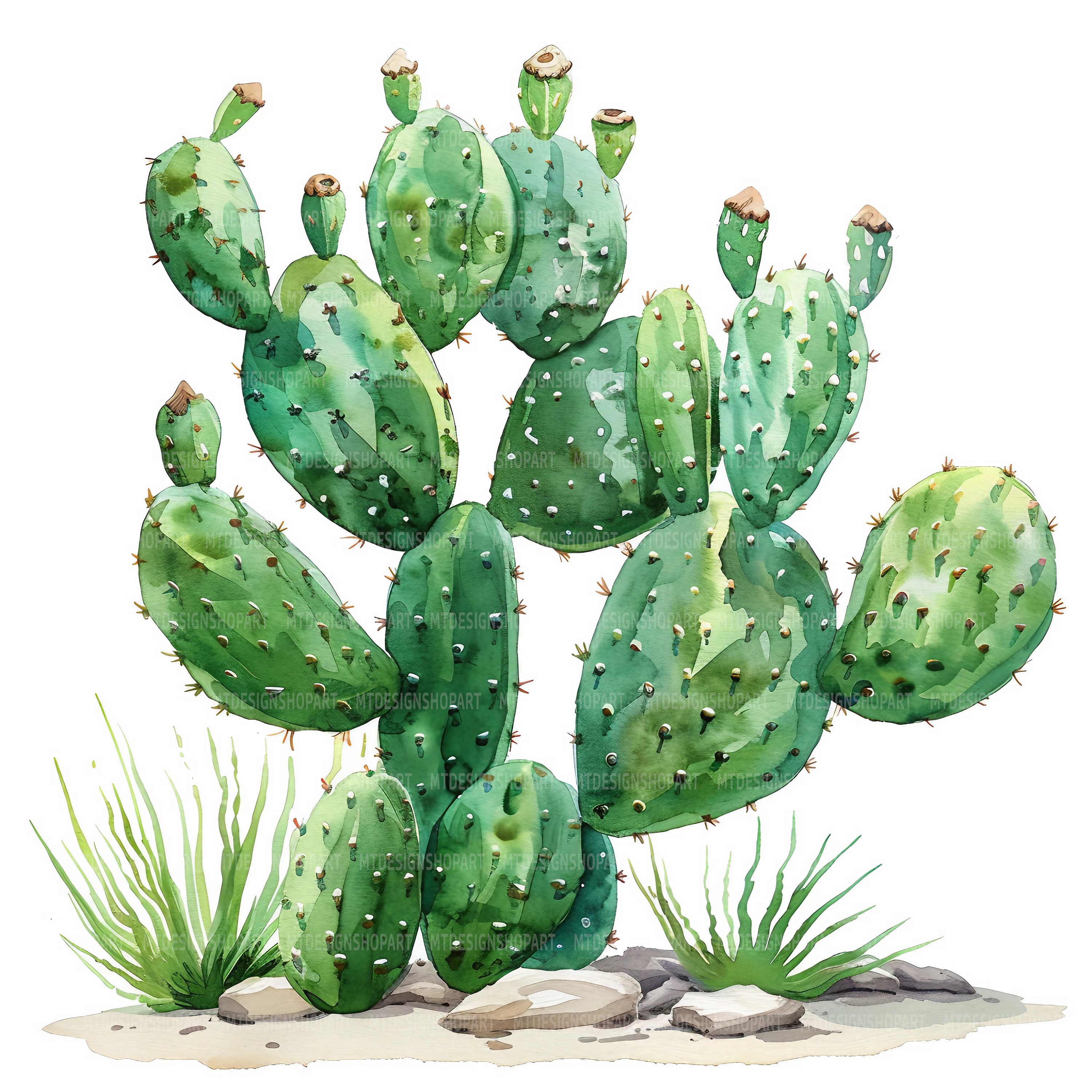 16 Cactus Clipart, Cactus Landscape, Printable Watercolor Clipart, Paper  Craft, Junk Journals, High Quality Jpgs, Digital Download - Etsy
