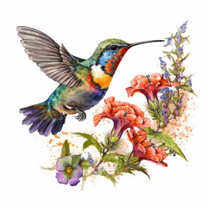11 Hummingbird Clipart, Digital Paper Craft, Printable Watercolor clipart, High Quality JPGs, Digital download, Paper craft, junk journal