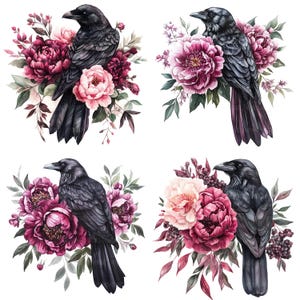 May include: Four watercolor illustrations of black crows perched on pink and burgundy peonies. The crows are depicted with detailed feathers and realistic expressions. The flowers are painted with soft, delicate strokes.